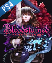 Bloodstained Ritual of the Night