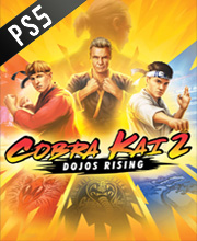 Cobra Kai 2 Dojos Rising