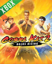 Cobra Kai 2 Dojos Rising