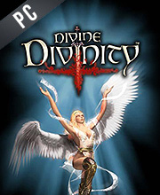 Divine Divinity