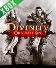 Divinity Original Sin