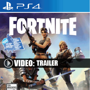 fortnite ps4 digital download und box edition - fortnite dvd kaufen