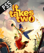 It Takes Two