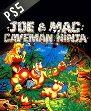 Joe and  Mac Caveman Ninja