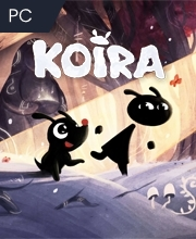 Koira