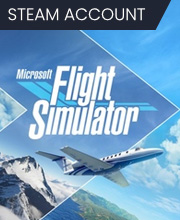 Microsoft Flight Simulator