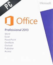 Microsoft Office 2013 Professional
