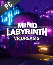 Mind Labyrinth VR Dreams