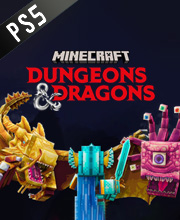 Minecraft Dungeons & Dragons