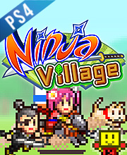 Ninja Village