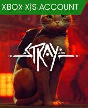 Stray