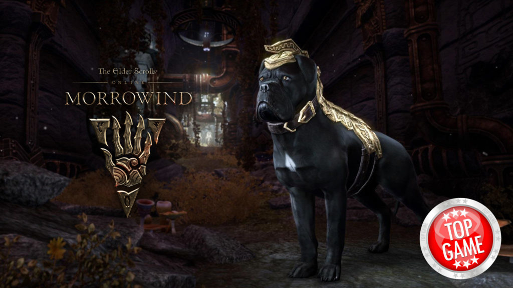 The Elder Scrolls Online Morrowind