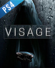 Visage