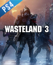 Wasteland 3