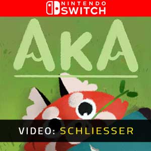 Aka Nintendo Switch- Video-Schliesser