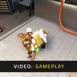 Animal Shelter Simulator - Gameplay-Video