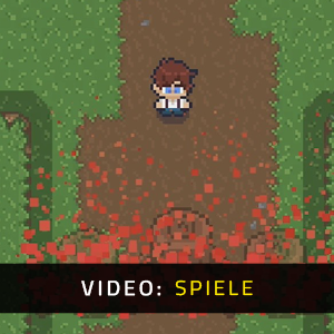 Book Quest - Video Spielverlauf