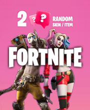 2 Random Fortnite Skins