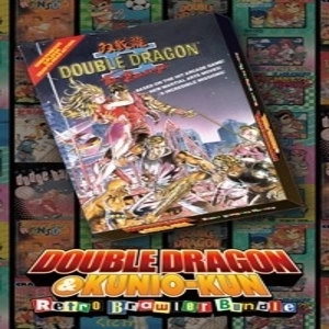 DOUBLE DRAGON 2 The Revenge