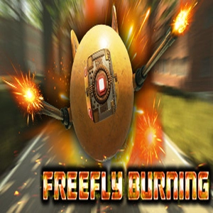 FreeFly Burning