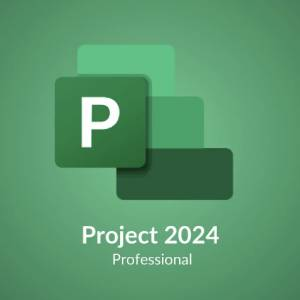 Microsoft Project Professional 2024