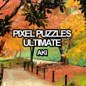 pixel puzzle collection