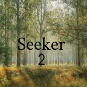 Seeker 2