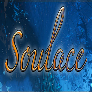 Soulace VR Key kaufen Preisvergleich