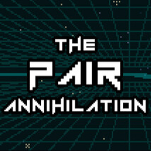 The Pair Annihilation