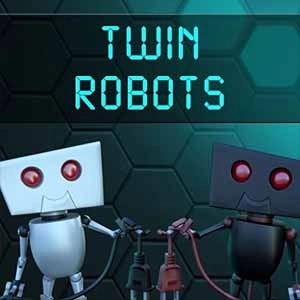 Twin Robots