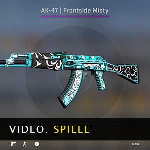 CSGO AK47 Skin Frontside Misty Gameplay-Video