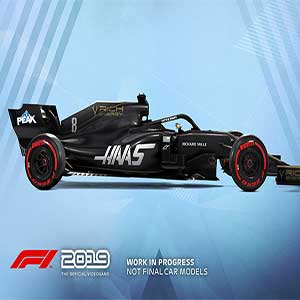 F1 2019 Hass Rich Energy Mannschaft