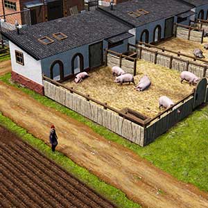 Farm Manager 2021 - Schweinestall