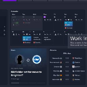 Football Manager 2025 - Portal