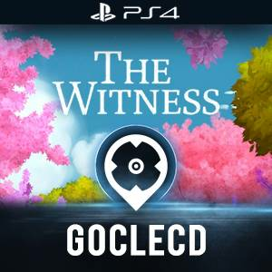 The Witness