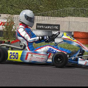 Kart Racing Pro Fahren