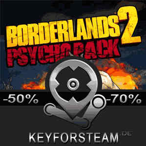 borderlands 2 psycho pack steam key
