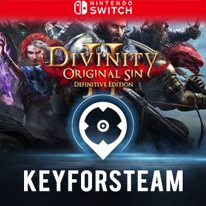 Divinity: Original Sin 2 De - Nintendo Switch Código Eshop