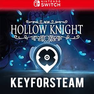 hollow knight switch cd key