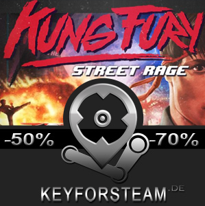 kung fury street rage local coop