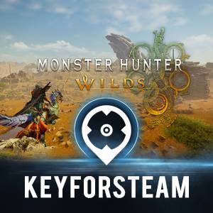 www.keyforsteam.de