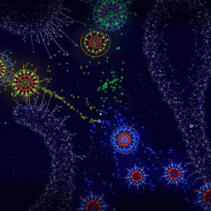 Microcosmum Survival of Cells - 10 Zellen und 3 Bakterien