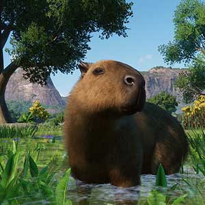 Planet Zoo Wetlands Animal Pack Wasserschwein