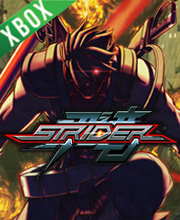 Strider