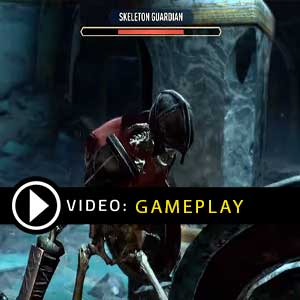 The Elder Scrolls Blades Nintendo Switch Gameplay Video