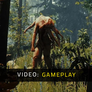 The Forest - Gameplay-Video