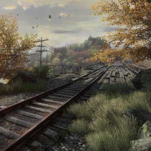 the vanishing of ethan carter switch