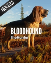 theHunter Call of the Wild Bloodhound