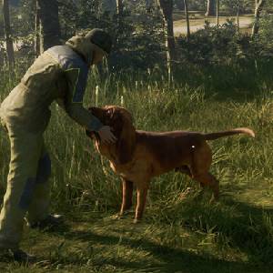 theHunter Call of the Wild Bloodhound - Streicheln