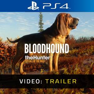 theHunter Call of the Wild Bloodhound Video Trailer